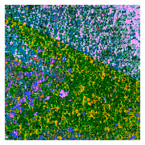 Item #4019824271 Media