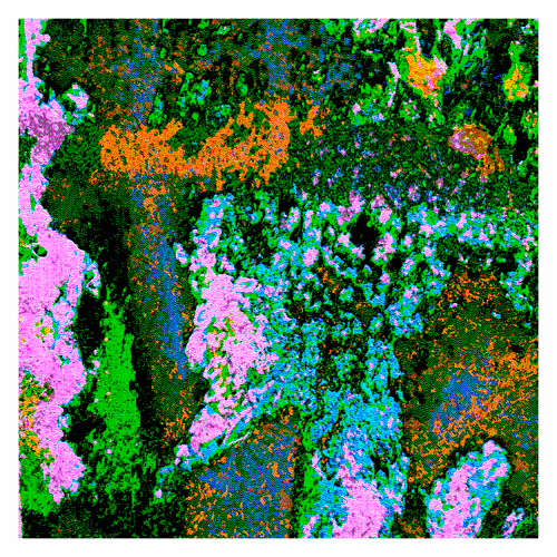 Item #2437444974 Media