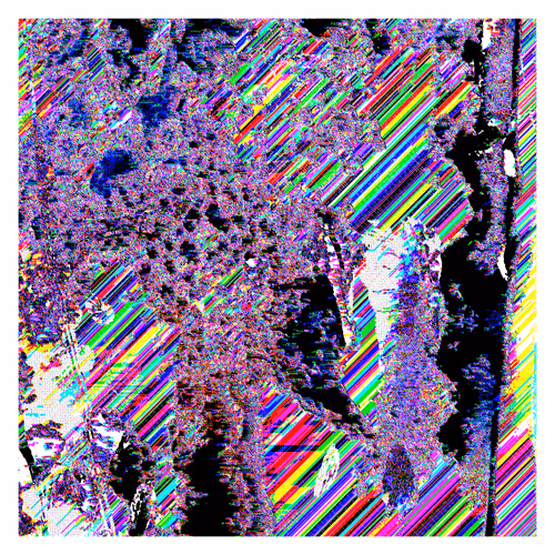 Item #3637520229 Media