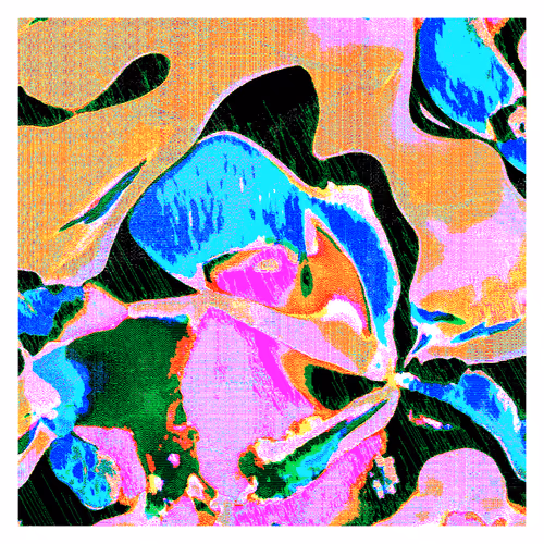 Item #1703846423 Media