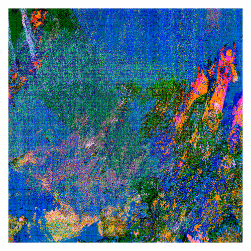 Item #2287055939 Media