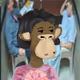 4958
