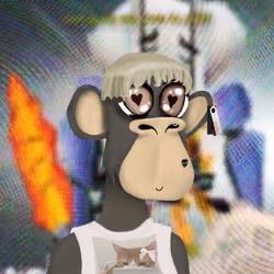 529