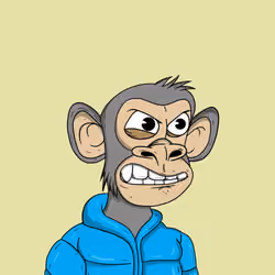 Spoiled Young Ape Club 3160
