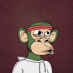 Spoiled Young Ape Club 3731