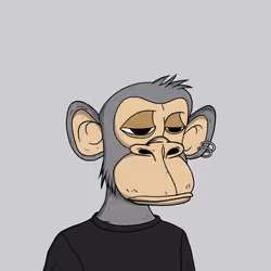 Spoiled Young Ape Club 1333