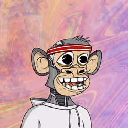 Spoiled Young Ape Club 1116