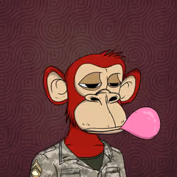 Spoiled Young Ape Club 3748