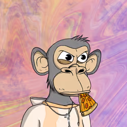 Spoiled Young Ape Club 3444