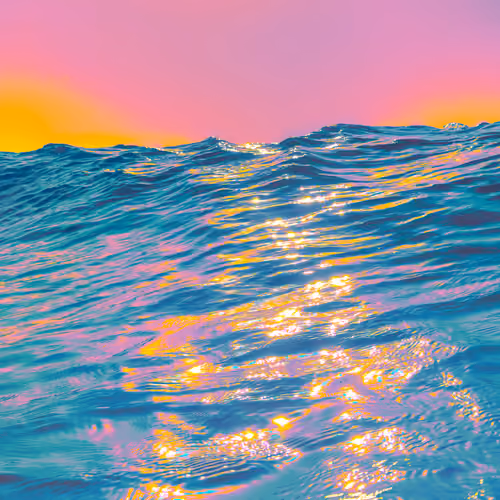 365 Oceans