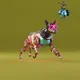 Beep Boop Robot Dogs #18907