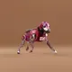 14080