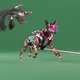 15516