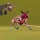 16014