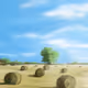 Life Impression 01