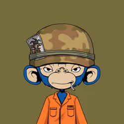 Qzuki Ape #1492