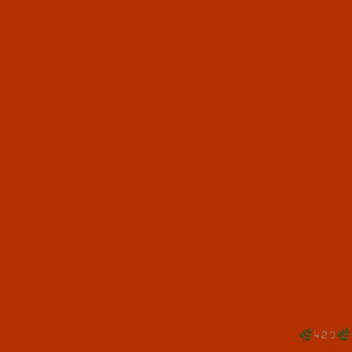 Square By 420