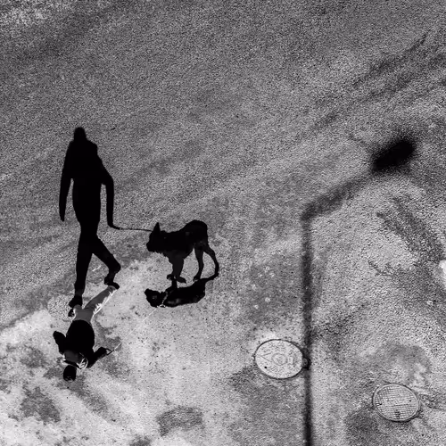 Black and White Life V2