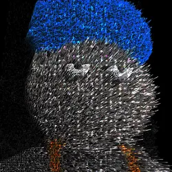 41
