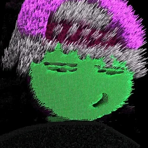 Ogsnft