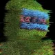 46