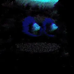 218