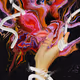 Intrinsic Essence