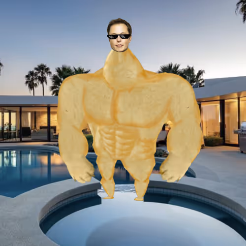 Elon Digital Trading Cards