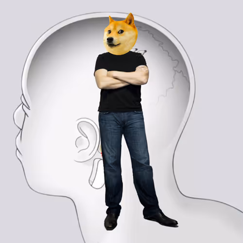 Elon Digital Trading Cards
