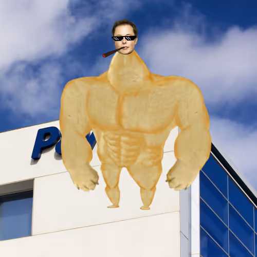 Elon Digital Trading Cards