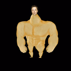 Elon Digital Trading Card #962