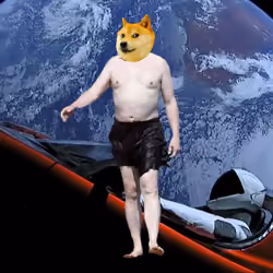 Elon Digital Trading Card #3806