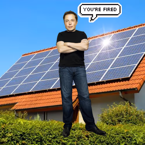 Elon Digital Trading Cards