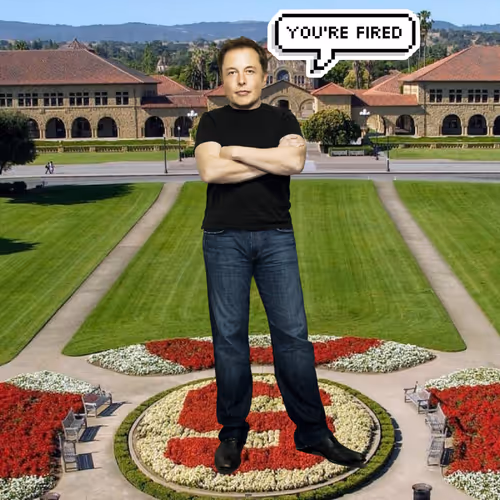 Elon Digital Trading Cards