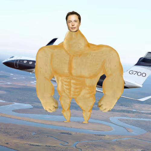 Elon Digital Trading Cards