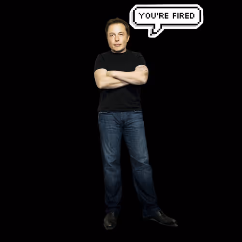 Elon Digital Trading Cards