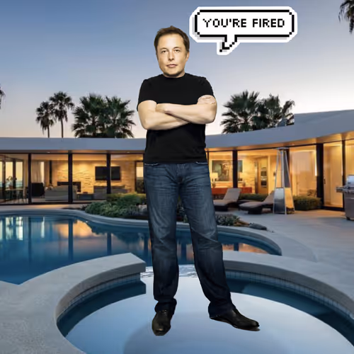 Elon Digital Trading Cards