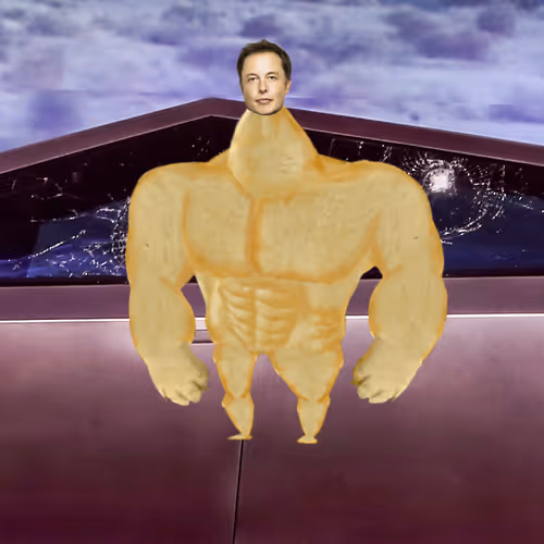 Elon Digital Trading Cards