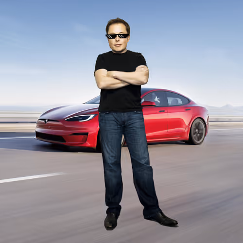 Elon Digital Trading Cards