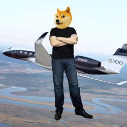 Elon Digital Trading Card #584