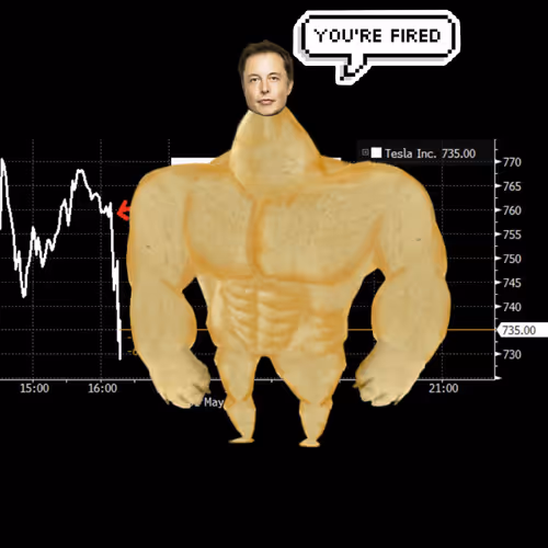 Elon Digital Trading Cards