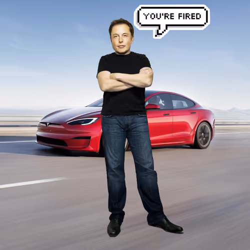 Elon Digital Trading Cards