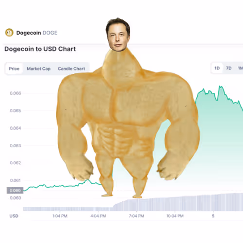 Elon Digital Trading Cards