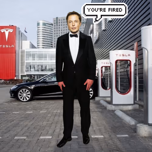 Elon Digital Trading Cards