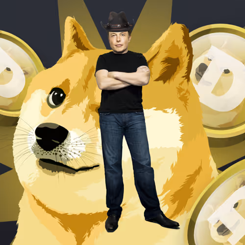 Elon Digital Trading Cards
