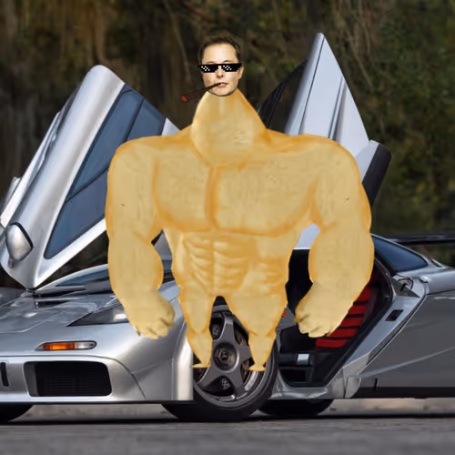 Elon Digital Trading Cards