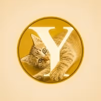 YOMOGI