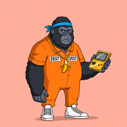 Gorilla #2937
