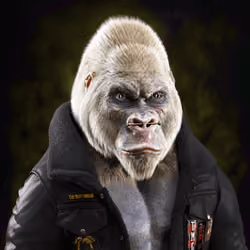 Mighty Gorilla #2076