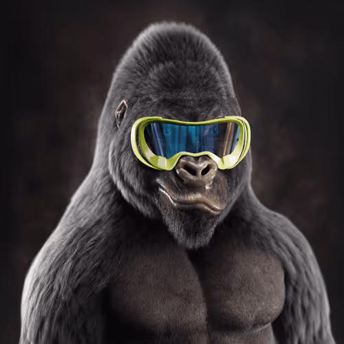 The Mighty Gorillas